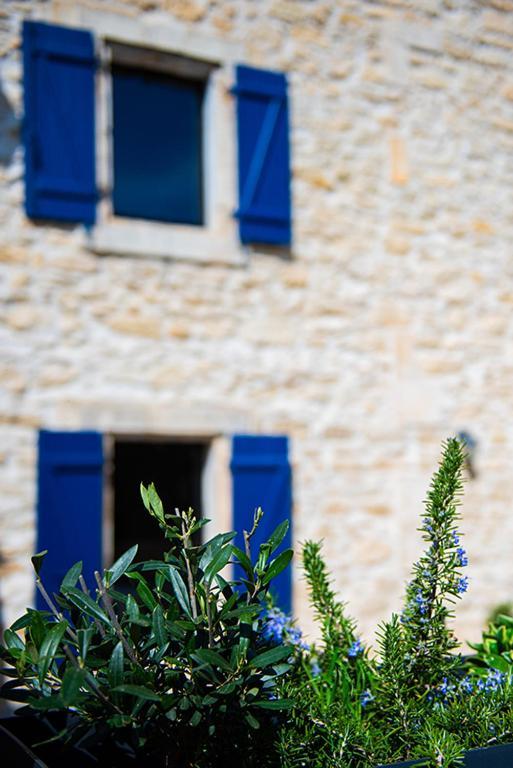 Namaste Home, Votre Havre De Paix A St Remy ! Parking Wifi Inclus แซ็งต์-เรมีย์-เดอ-โพรวองซ์ ภายนอก รูปภาพ
