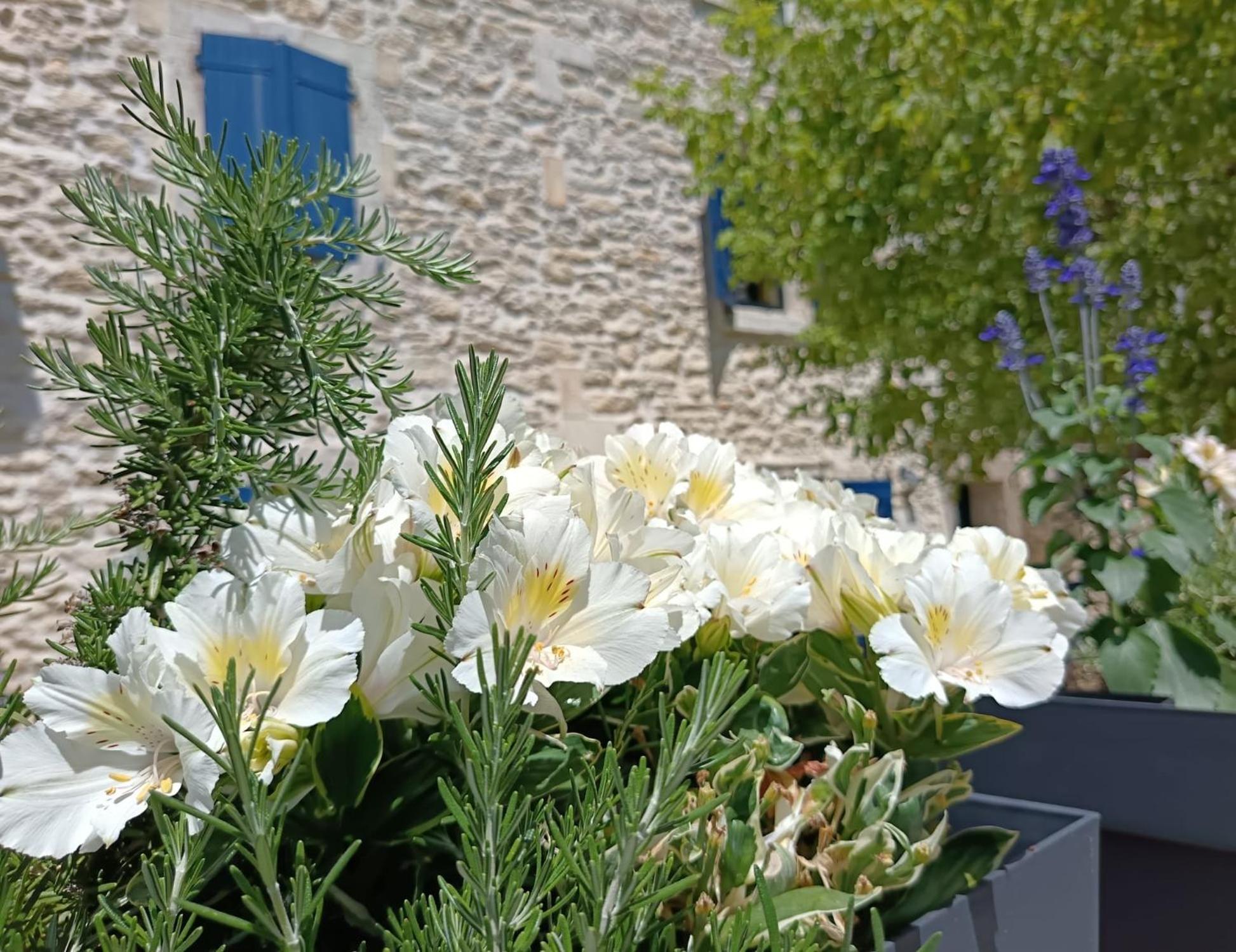 Namaste Home, Votre Havre De Paix A St Remy ! Parking Wifi Inclus แซ็งต์-เรมีย์-เดอ-โพรวองซ์ ภายนอก รูปภาพ